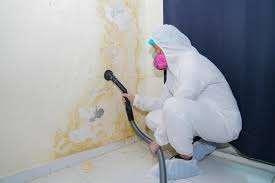 Why You Should Choose Our Mold Remediation Services in Darlington, WI